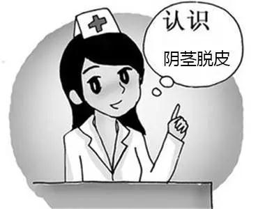 阴茎脱皮