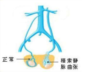 上海长虹医院