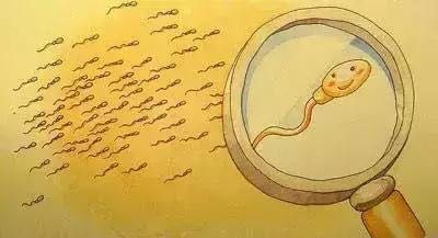 上海男性精液为什么不液化