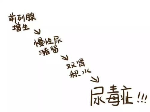 得了前列腺增生该怎么防止病情加重