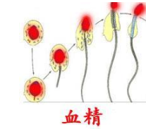 手淫射出的精液有血怎么回事