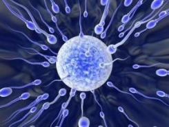 男性精子少是什么原因能治好吗