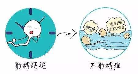 做爱不射精是怎么回事