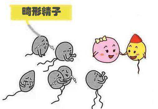【上海男科医院】精子畸形的危害