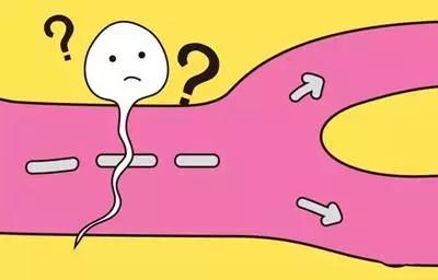 上海死精症的主要危害有哪些