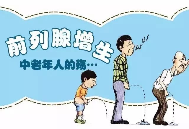 为什么肥胖的男人更容易的前列腺增生?