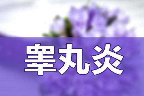 睾丸的健康对男性的生育有多重要?