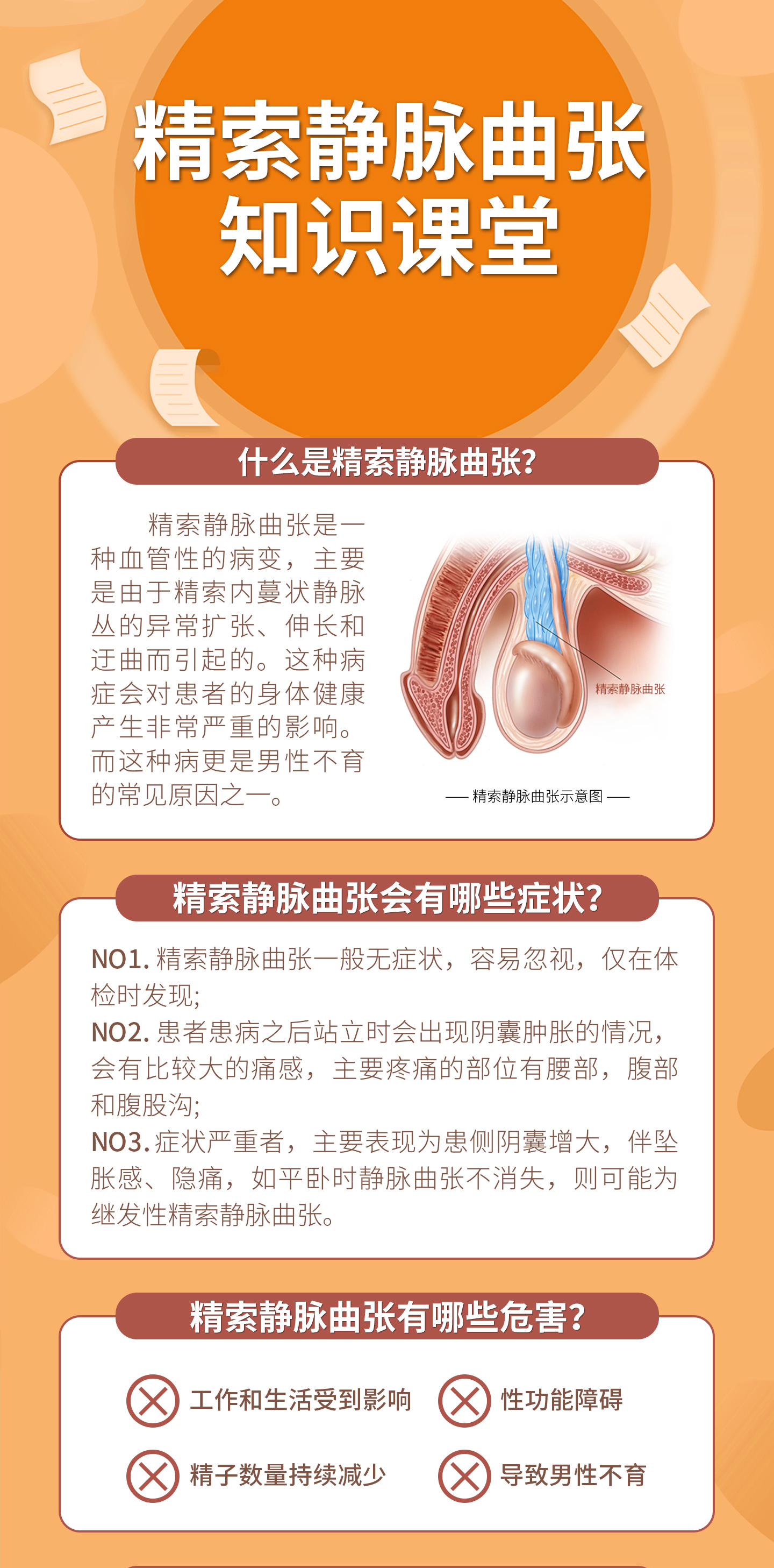 精索静脉曲张知识课堂【什么是精索静脉曲张】